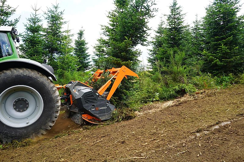 TMC Cancela TFT-225 Forstmulcher/Mulcher für Traktor-Lagergerät-