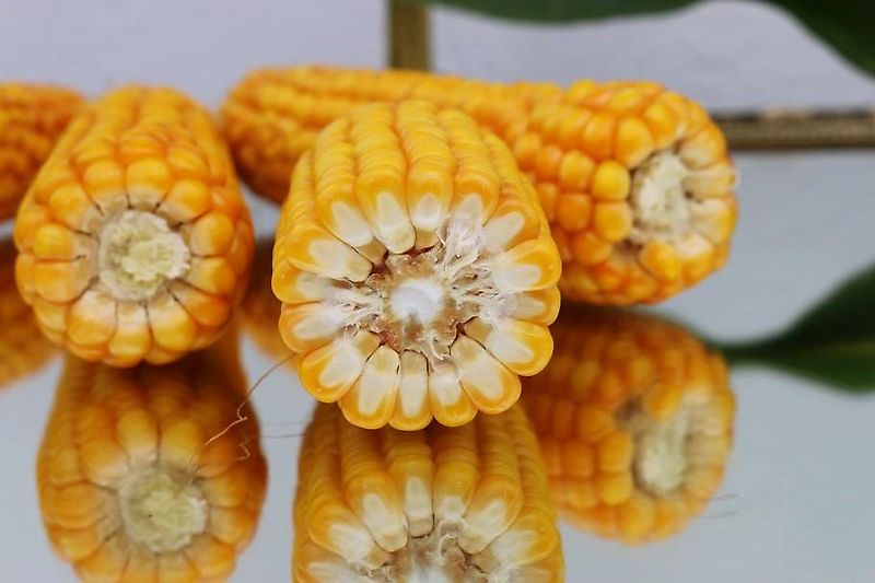 Merlo Anbaugerät Mastverlängerung 300 cm Verzinkt zum Materialtransport für die letzten meter