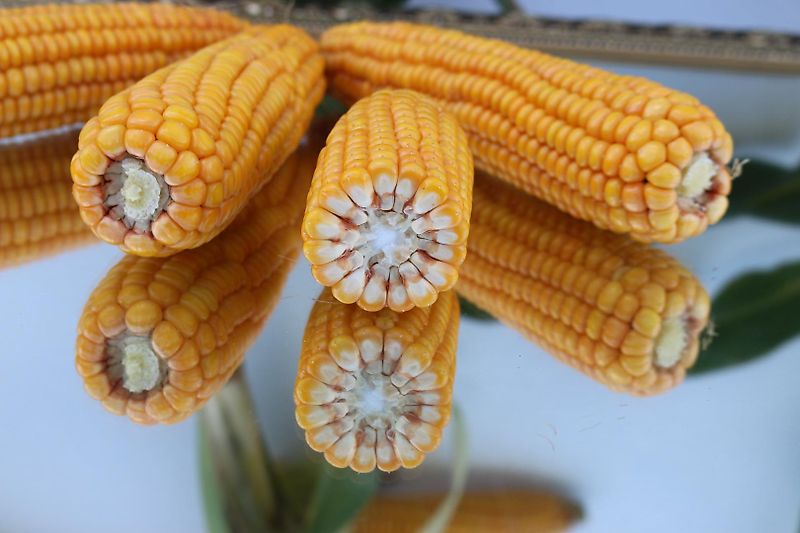 Merlo Anbaugerät Mastverlängerung 300 cm Verzinkt zum Materialtransport für die letzten meter