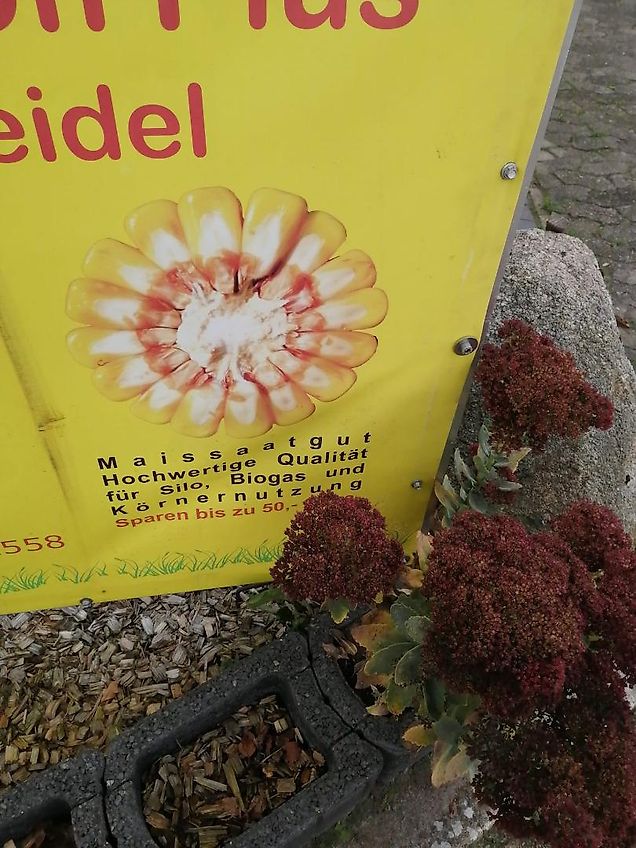 Merlo Anbaugerät Mastverlängerung 300 cm Verzinkt zum Materialtransport für die letzten meter