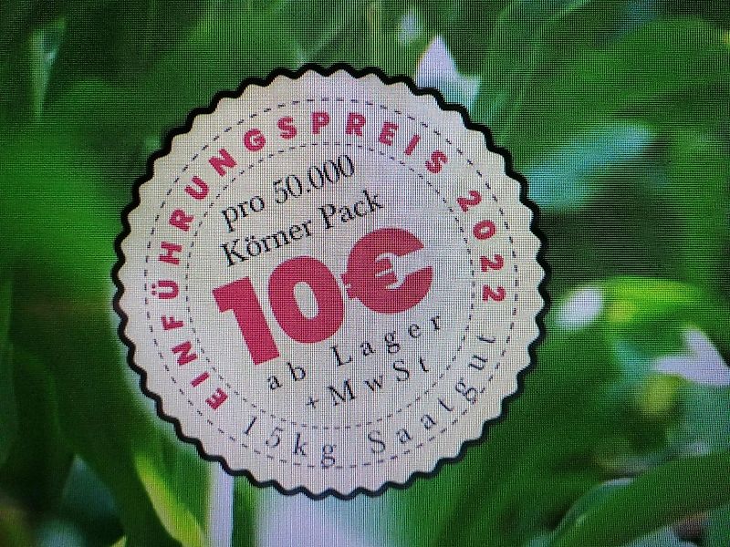 Merlo Anbaugerät Mastverlängerung 300 cm Verzinkt zum Materialtransport für die letzten meter