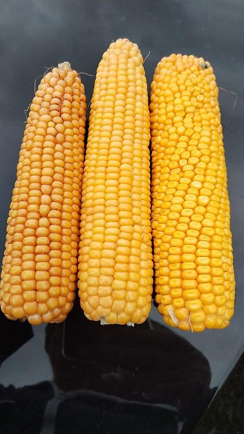 Merlo Anbaugerät Mastverlängerung 300 cm Verzinkt zum Materialtransport für die letzten meter