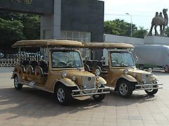 ICOCAR La Royale Lithium