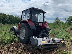 Aardenburg Alpha M Grizzly / Schlegelmulcher, mulcher 180-260 cm - BLACK FRIDAY RABATT