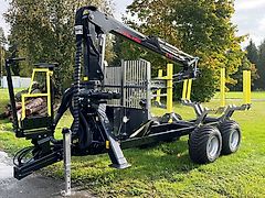 Palms 10,20D, FK 4.71